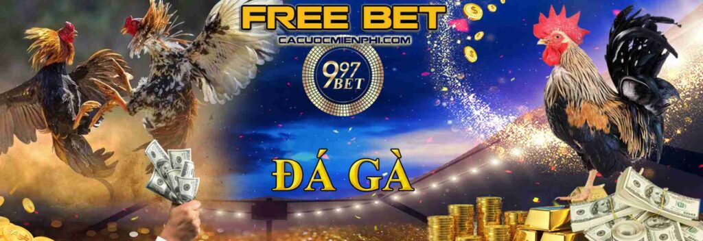 Tại sao nên chọn tham gia nền tảng cá cược trực tuyến của 888B Gaming? - 888B