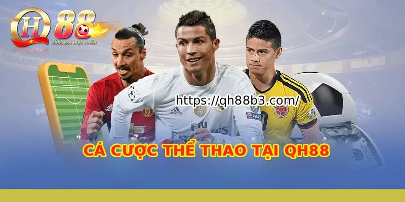 Hướng dẫn cá cược bóng đá cấp độ Jili - Jili