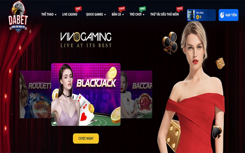 23Vip có những lĩnh vực chuyên môn nào? - 23Vip