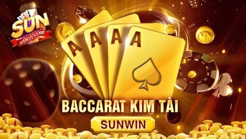 Ds99 93 Định dạng mới, Tiêu chuẩn quốc tế - Ds99