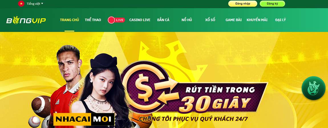 Tại sao nên chọn cá cược đá gà tại Công ty Fb88 Gaming? - Fb88