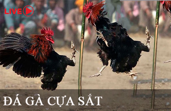 Đăng nhập hoặc nạp tiền bằng Gk88 để trải nghiệm ngay! - Gk88