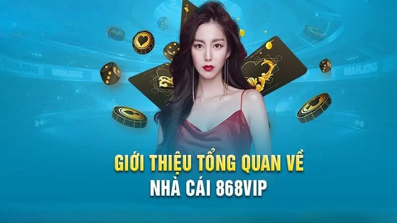 Tổng quan về Dịch vụ Cứu hộ Lixi88 - Lixi88