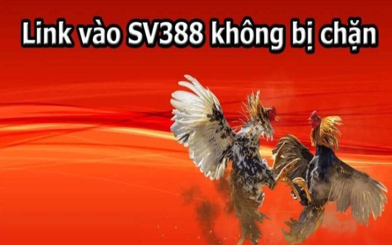 Nhận ngay tiền thưởng 50000 khi đặt cược và nạp tiền bằng ứng dụng Dafabet - Dafabet