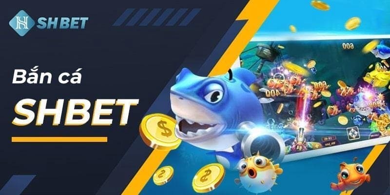 Tất cả các buổi phát trực tiếp trên nền tảng Xoso66 đều được thực hiện từ các địa điểm thực tế - Xoso66