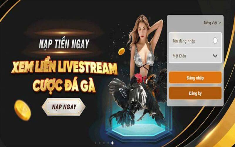 Tận hưởng các đặc quyền VIP hạng Open88 và khám phá thế giới xa hoa - Open88
