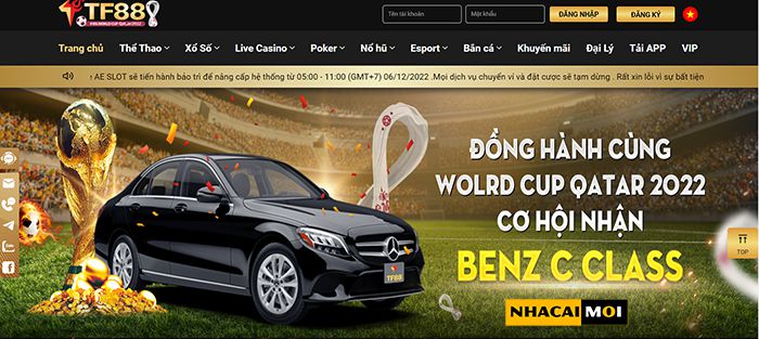 G6bet và Chính sách của Tổ chức - G6bet
