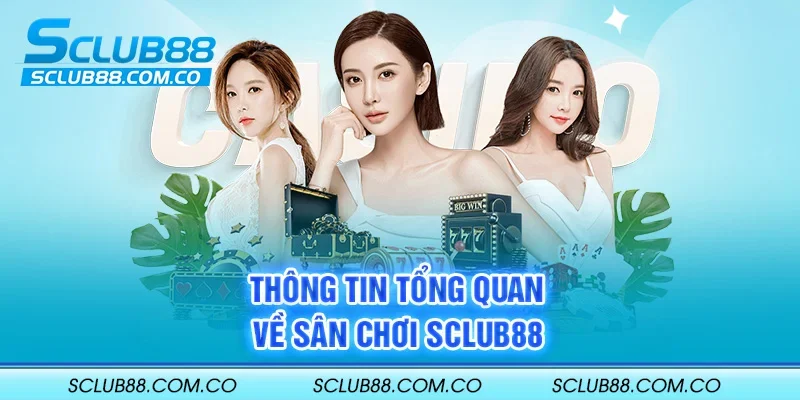 Đánh giá các công ty game cấp 98Win của Thái Lan - 98Win