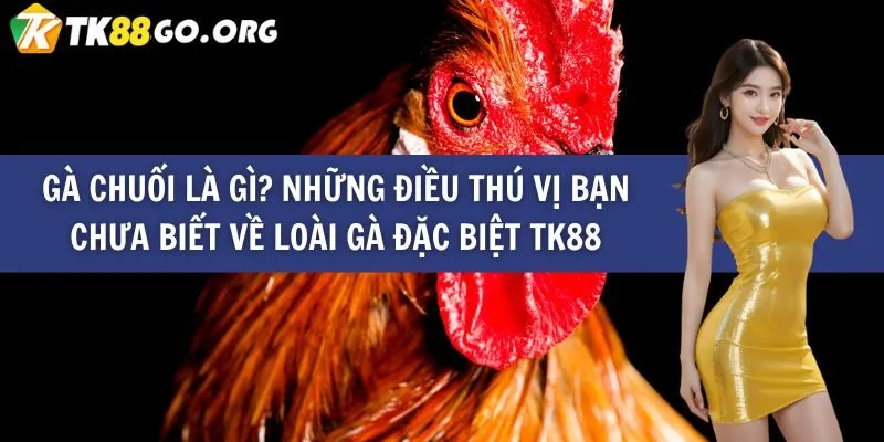 Trò chơi trên Blog 6Ff - 6Ff